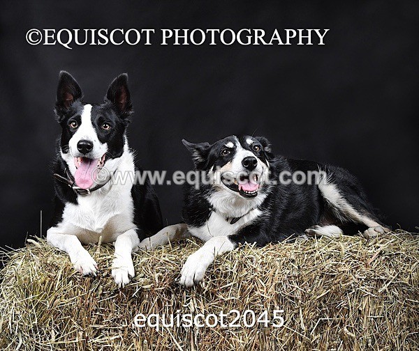 equiscot2045 - SKY & NELL