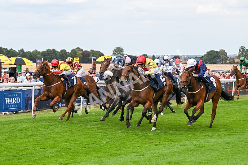 140825-Race 3-Rum Therapy-1043 - Race 3