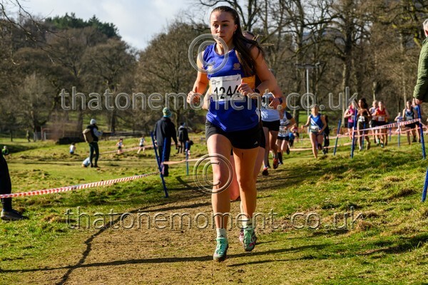 Falkirk25-914009 - Senior Women Set One