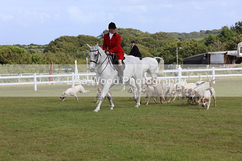 3E7A3381 - Parade of Hounds
