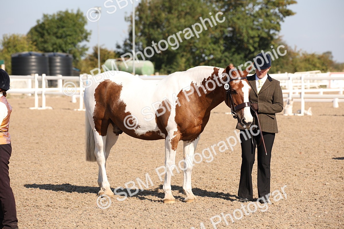 SBM_01557 - Class 15 IH Coloured