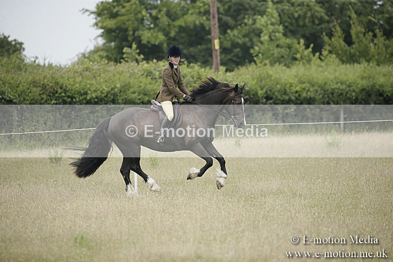 B230619-0485 - Bourne Valley Riding Club Summer Show 23/06/19