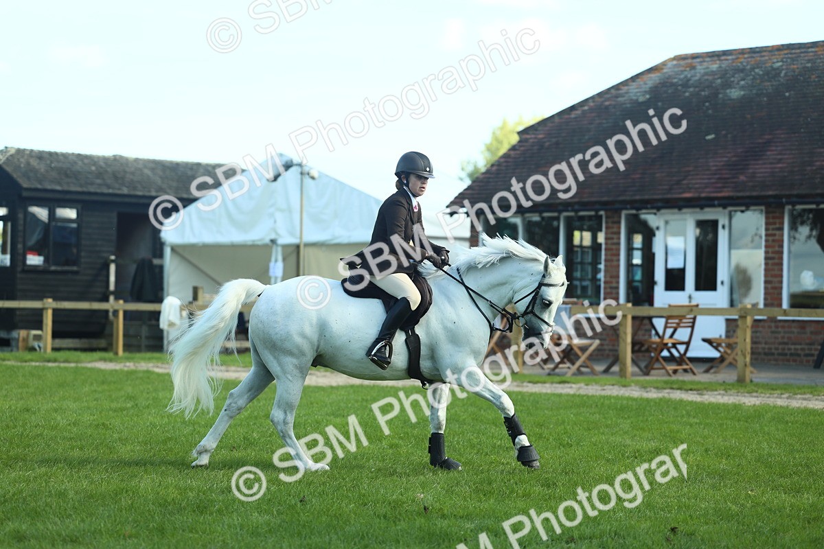 SBM_39226 - S29 - Novice & Newcomers Working Hunter Pony