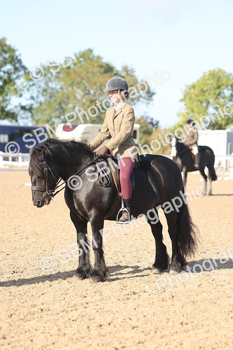 SBM_22158 - Class 802 - Ridden Groom Helpers Class
