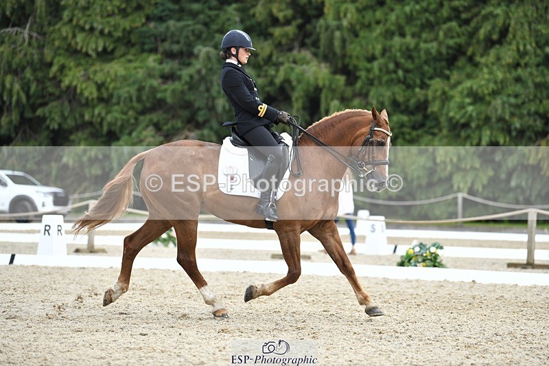 230812-141541-04654 - Cls 7 FEI PSG Bronze