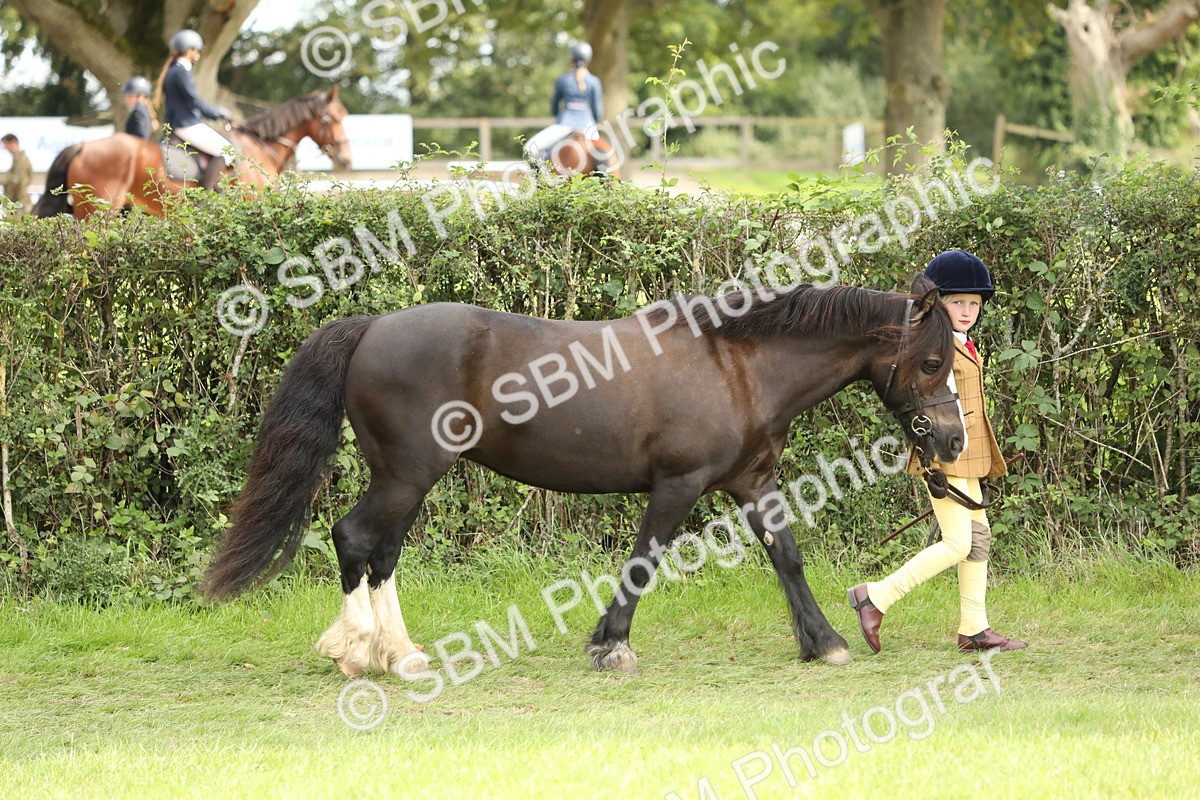 SBM_67674 - S39 - Junior Handler 8  Years & Under