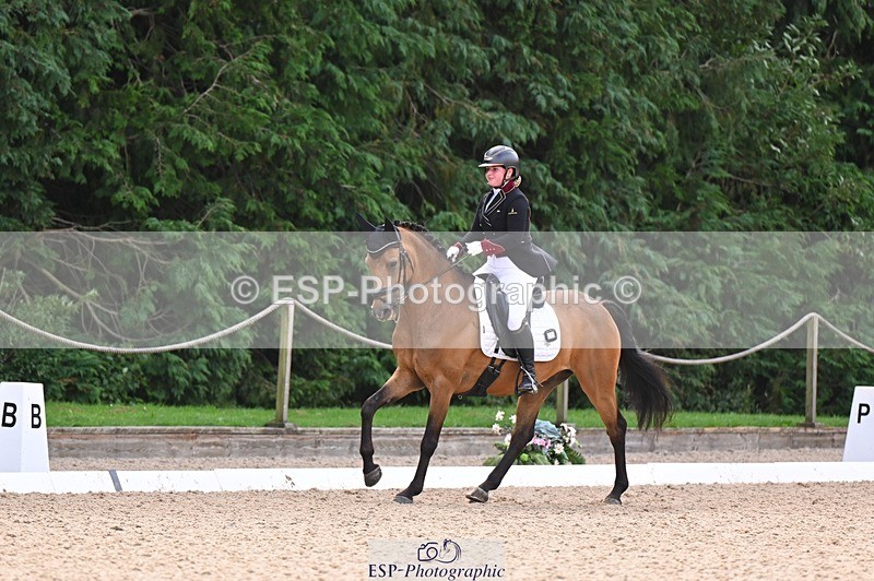 240809-104633-00389 - 173-Daisy.Winkle-Decandro.Hit.LDS