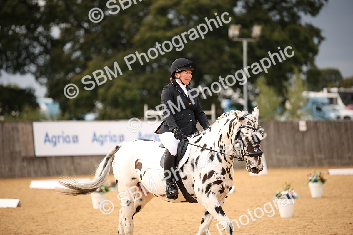 SBM_12300 - D3 Small  Tour Championship Intro A