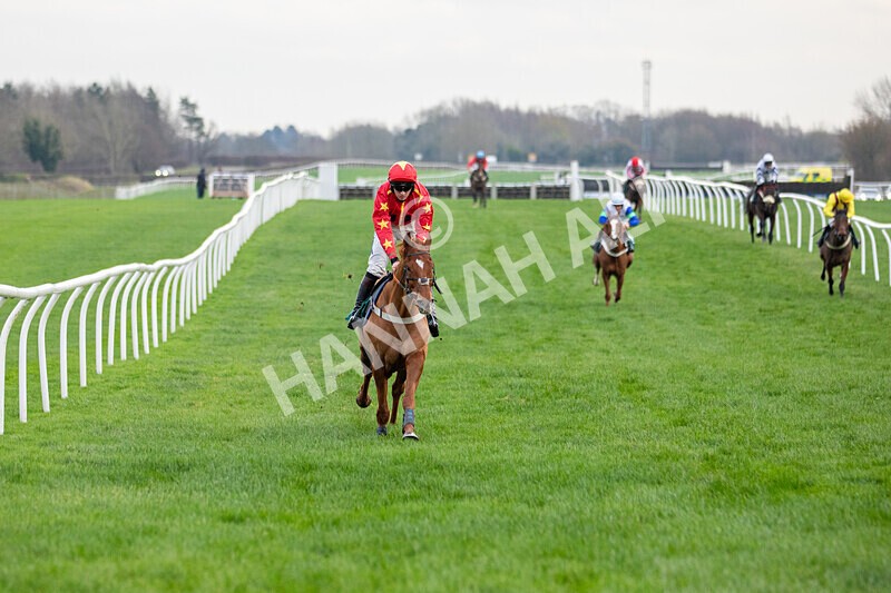 171224-Race 4-Wise Eagle-0198 - Race 4