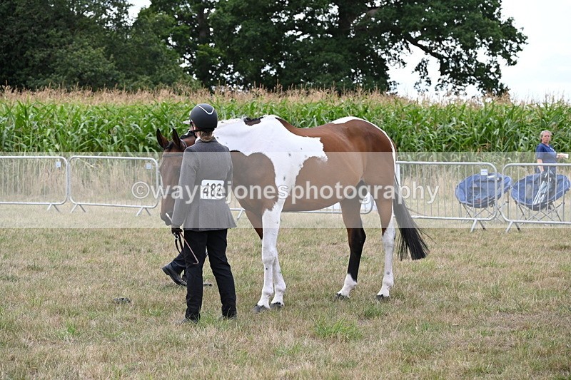 WJ6_6057 - Class 19 In-hand Veterans (Uploaded correct folder)
