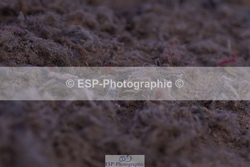 250629-183554-13939 - Cls 34 Springboard 128cm and 138cm