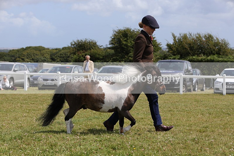 1X9A4834 - Class 35: Veteran In Hand