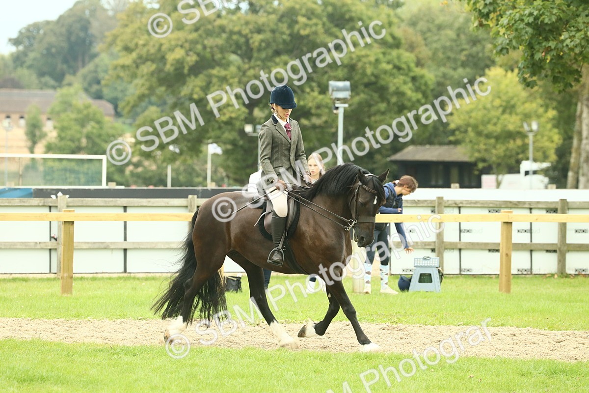 SBM_72157 - S60 - Mountain & Moorland Ridden Large Breeds