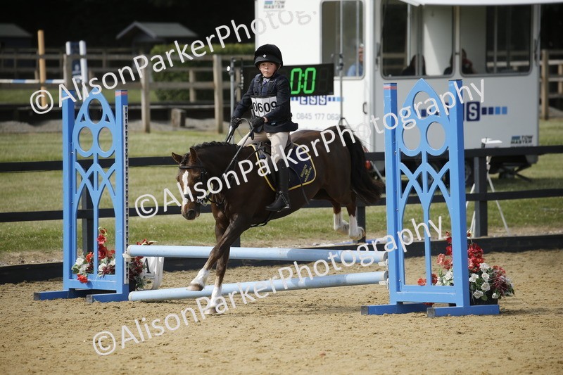 20250622-3672 - 50cm