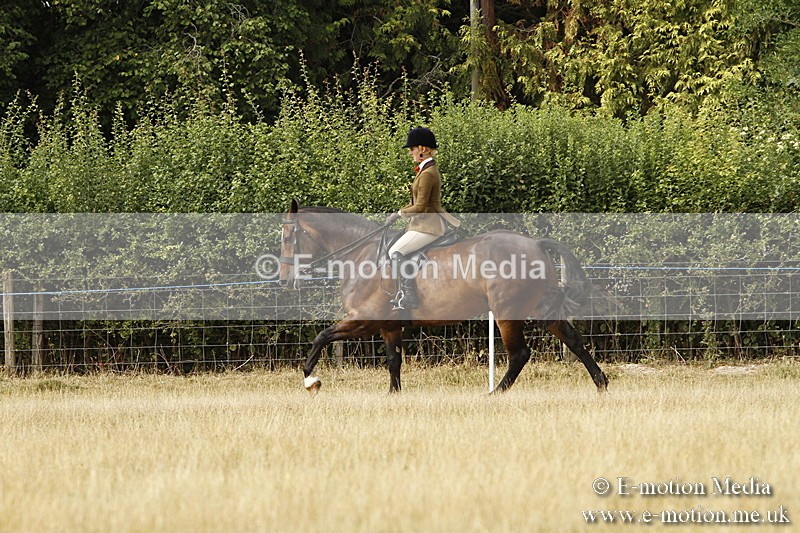 _BS_0505 - BVRC Show 2018 Ring 3