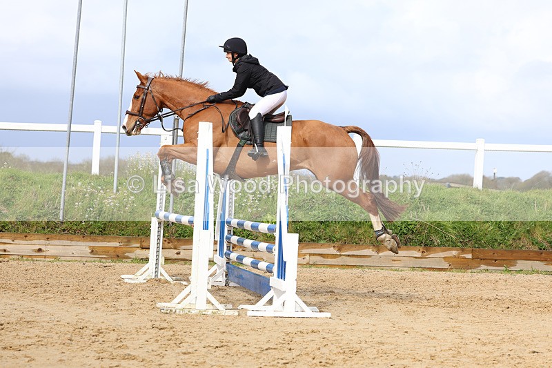 3E7A0880 - Class 4: Senior British Novice/90cm open