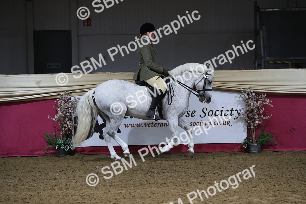 SBM_10367 - Class 102 Equitation (best rider) Adult