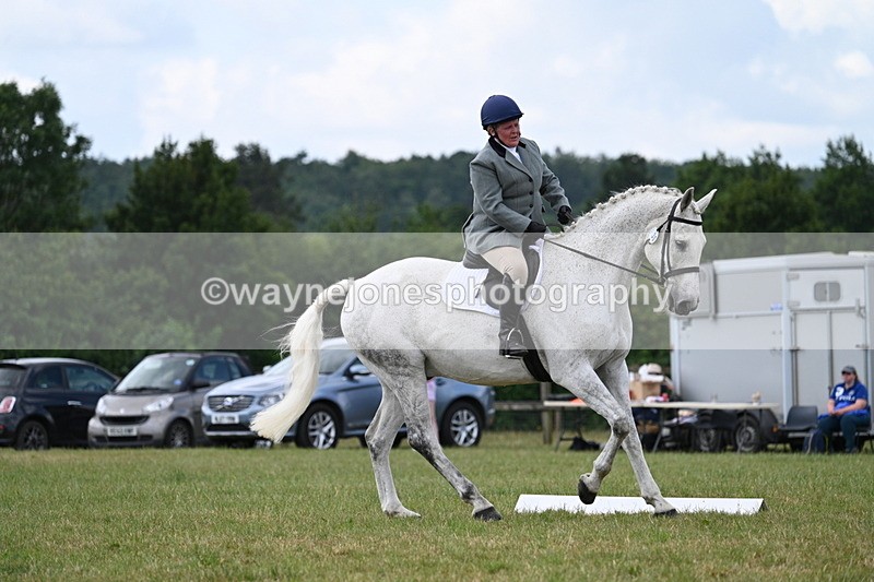 WJ7_5142 - Time 11:22 to 11:51