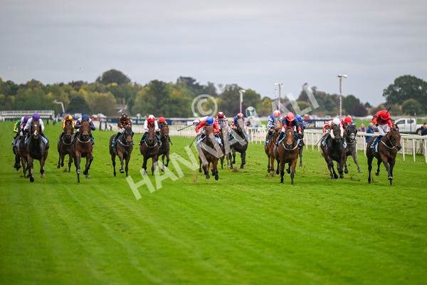 101025-Race 6-Dan Tucker-7052 - Race 6 Copper Knight Winning-Most Horse Handicap at York