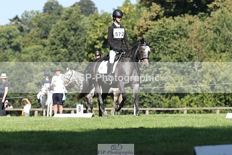 250823A-101824-26817 - Arena D