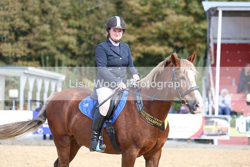 3E7A3717 - Class 5: 60cm Senior