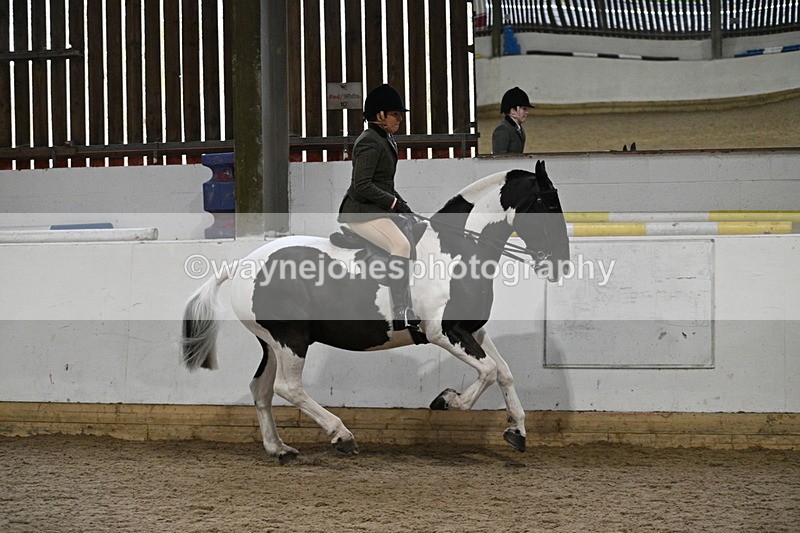 WJ7_3878 - Class 17 Ridden Cob