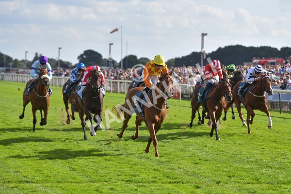 yr20082022r6-21 - Race 6 4.45 pm Julia Graves Roses Stakes