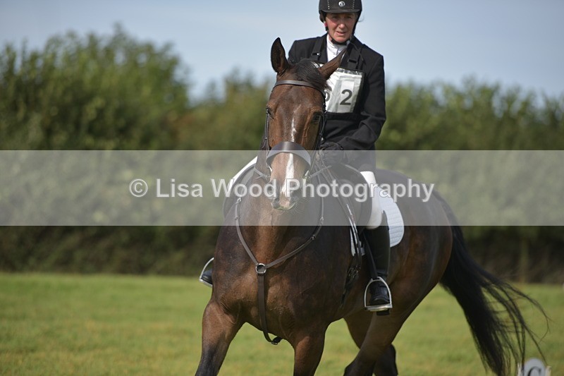 RAY_7915 - Class 2B: Trekenning Open: Dressage