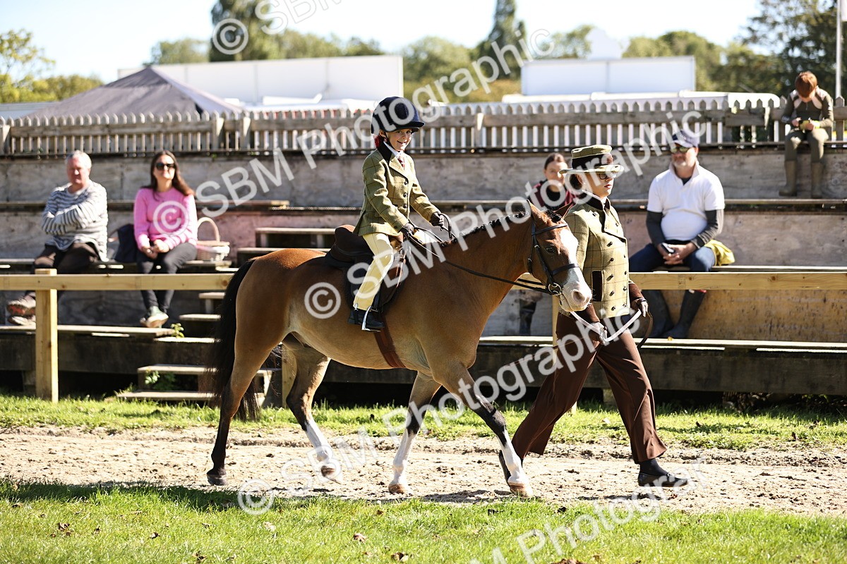 SBM_19230 - S3 - TSR Ridden Pony Showing