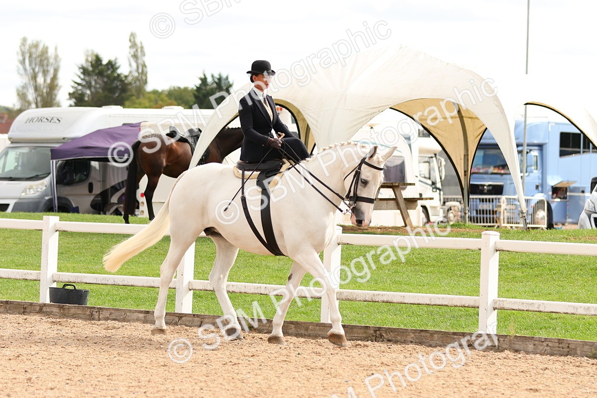SBM_15898 - Class 216 - Best Side Saddle Horse-Pony