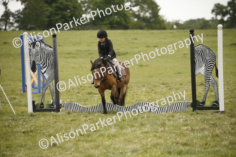 20250517-0841 - Class 2 - 30cm Off Lead Rein