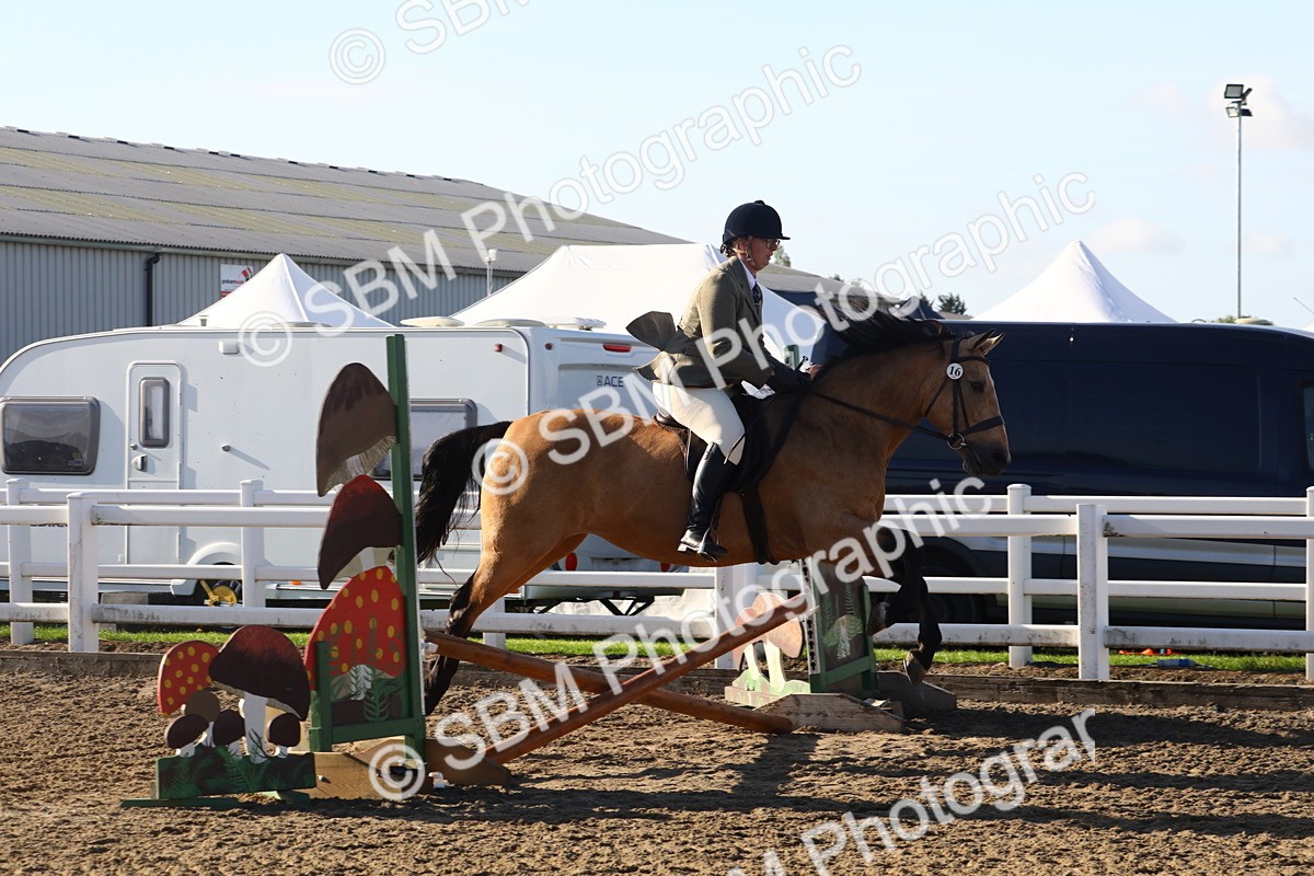 SBM_07911 - Class 501 - Riding Club Pony