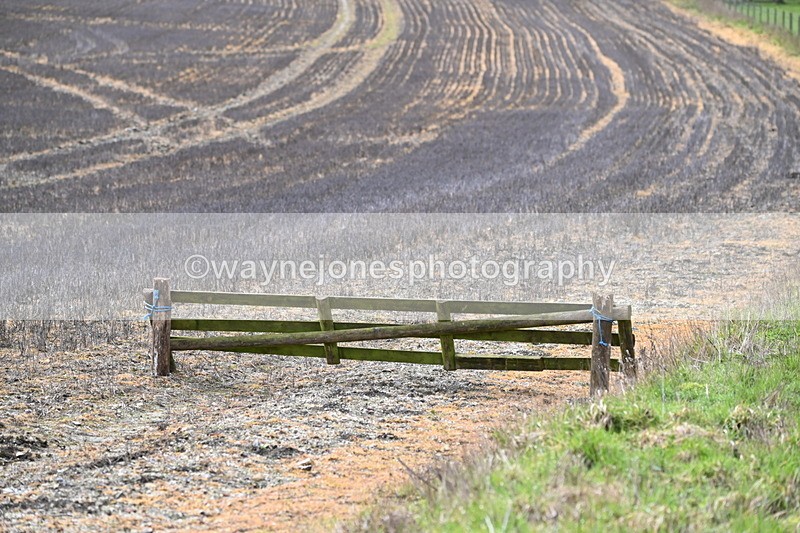 WJ6_8543 - Meet & Line One