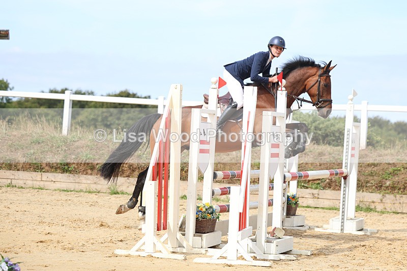 3E7A3464 - Class 4: Senior British Novice/90cm open