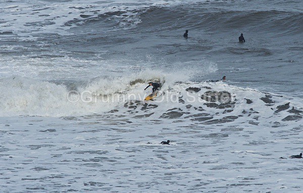 DSC_4154 - Cayton Point 30th October 2017