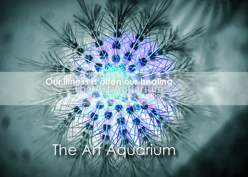 The Art Aquarium - Rachael Inchboard
