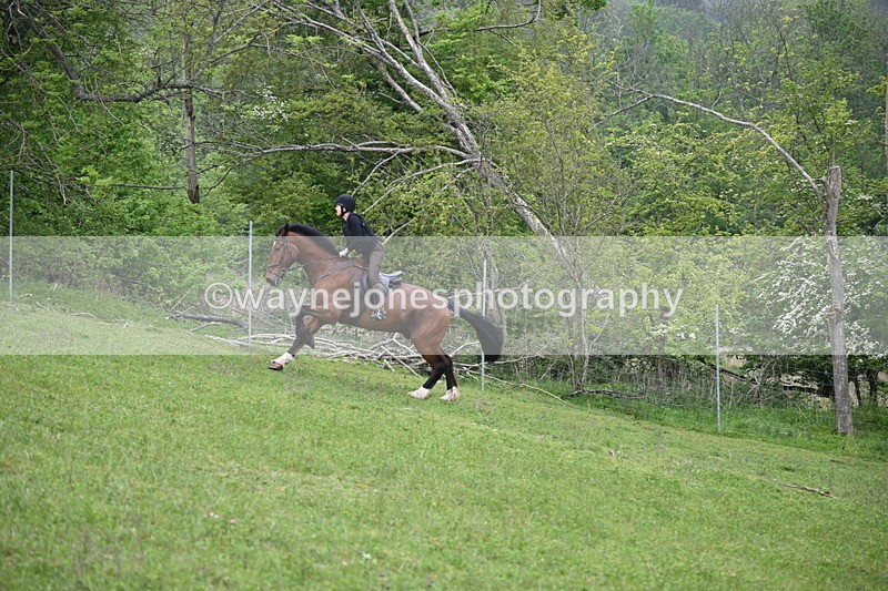 WJ6_2565 - A Camera