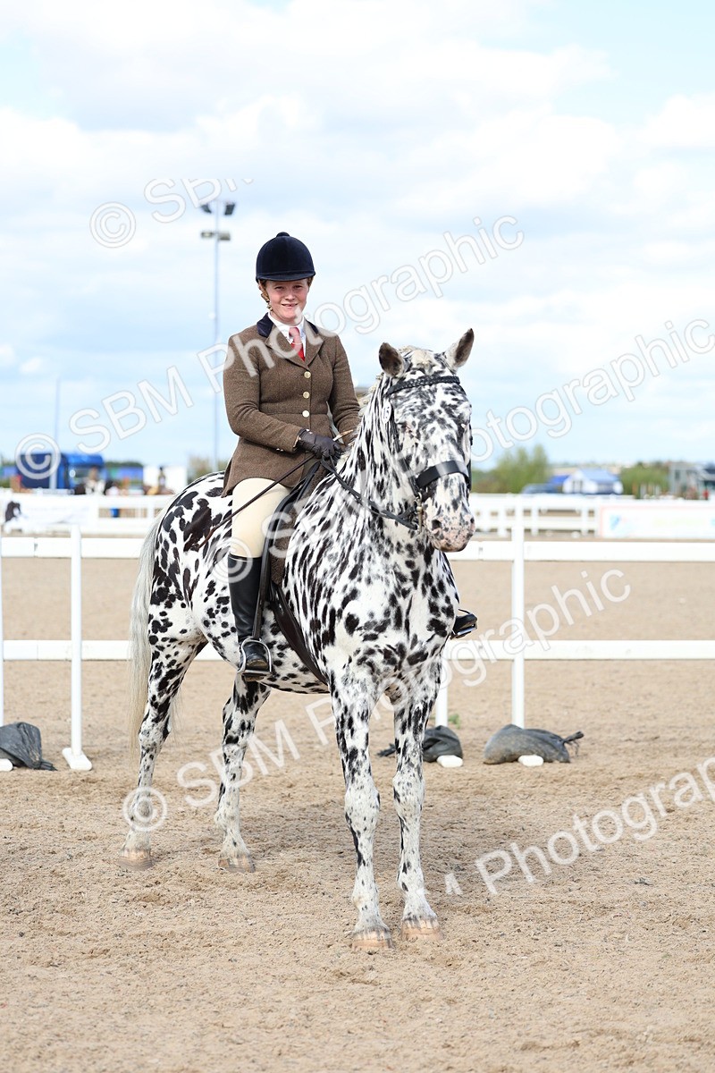 SBM_17209 - Class 315 - Best Horse - Rider Combination