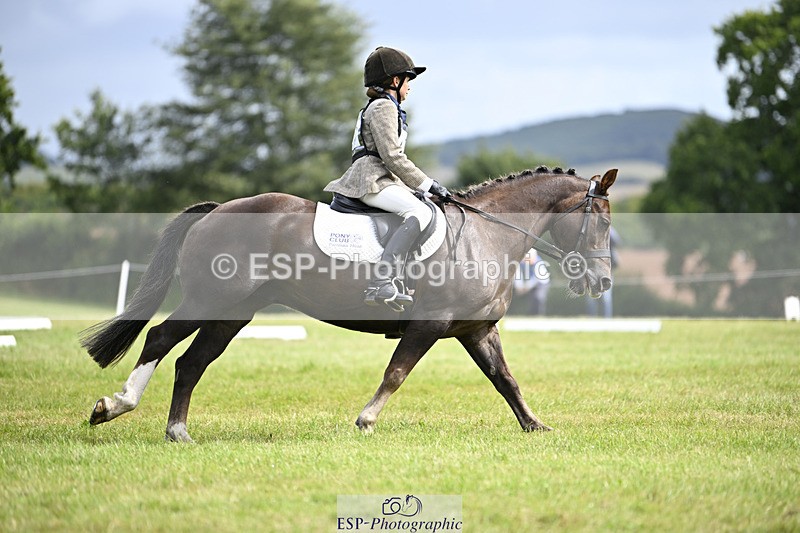 240824X-124737-26532 - D80 Section E and F 12.00 to 13.20