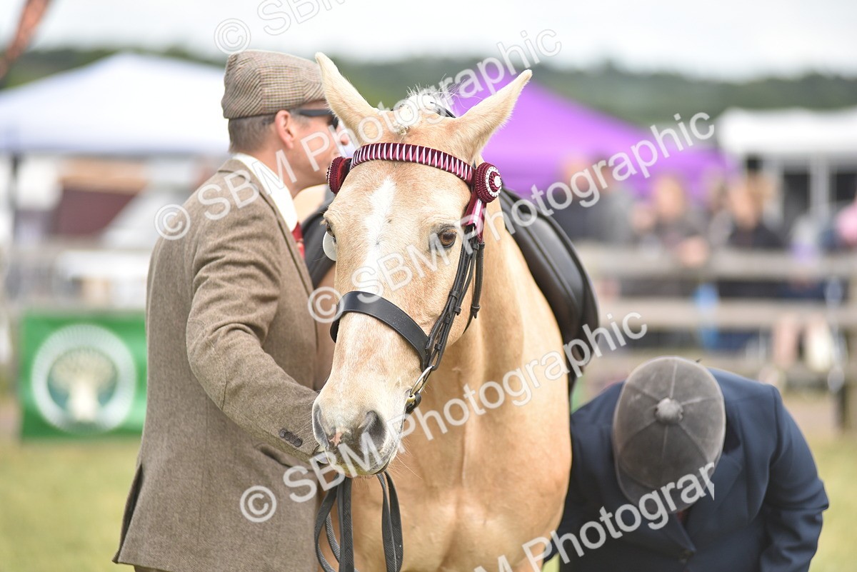 SBM_15949 - Class 117-122 - SSADL RIHS Qualifier