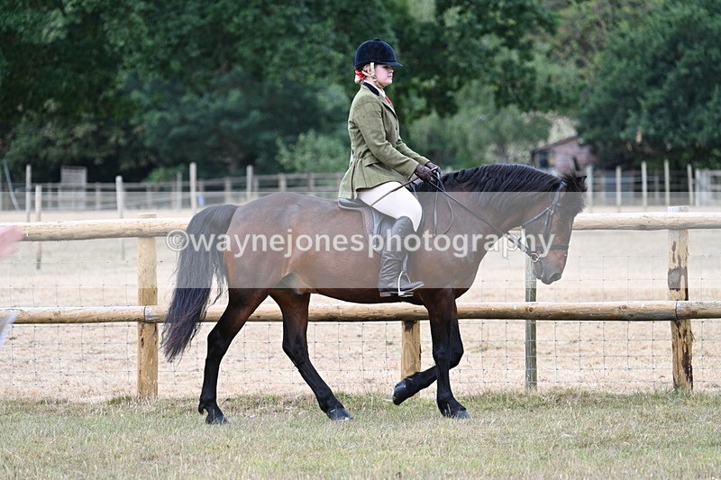 WJ7_0659 - Class 6 Ridden Mountain and Moorland