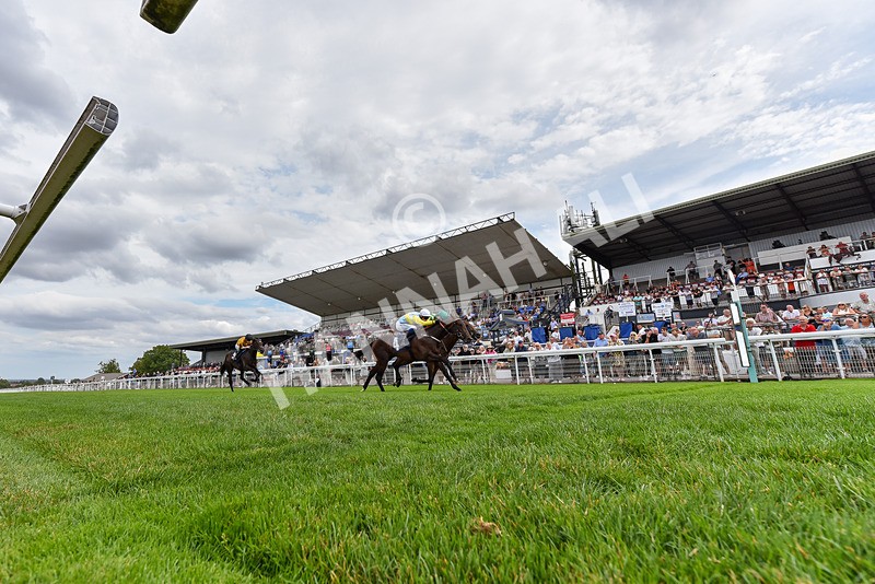 280726-Race 4-Vega King-4385 - Race 4 15.20pm 30 Years Of The Hurn Racing Club EBF Novice Stakes