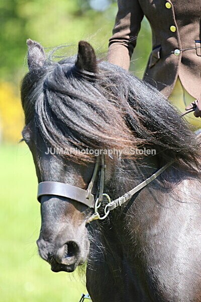 SIAL4319 - Ring 3 and 4