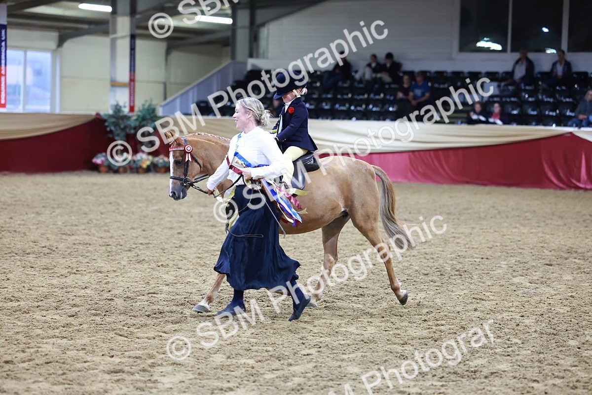 SBM_20609 - Class H - IH Competition - Riding Club champ