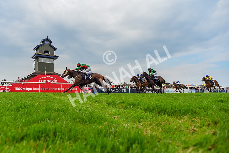 060524-Race 5-Original Thinker-9147 - Race 5