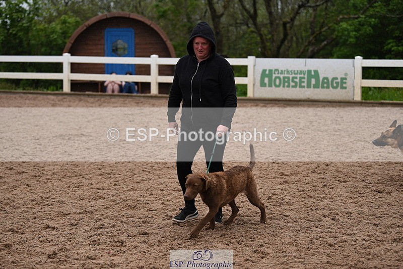 240518A-124644-01188 - Cls 5 Best Purebred