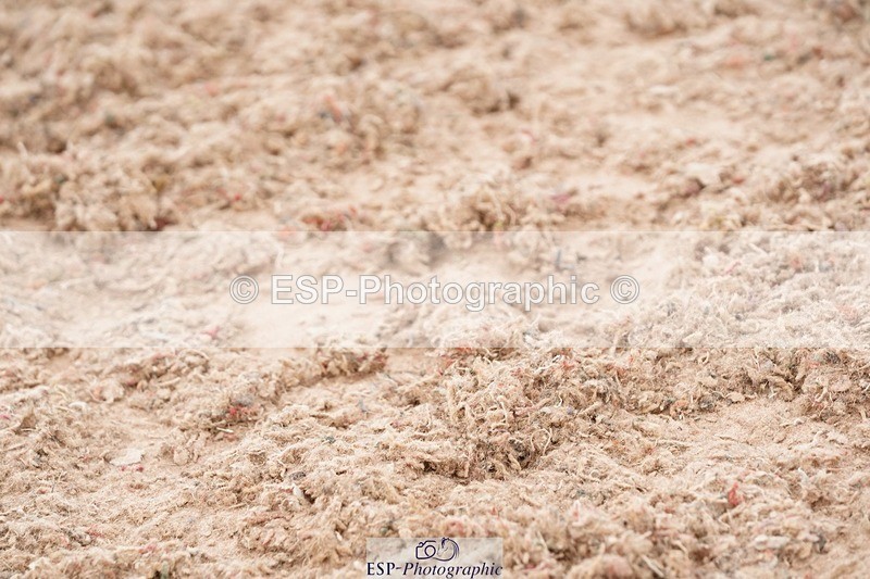 250505-155648-05122 - Cls 10+11 Children on Horses