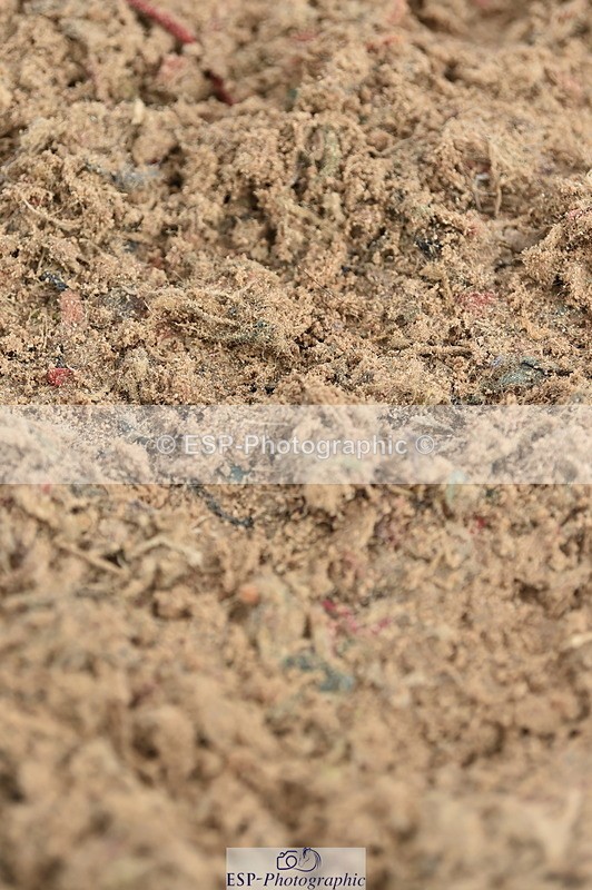 231013A-104434-01381 - Cls 1 85cm Amateur Quali