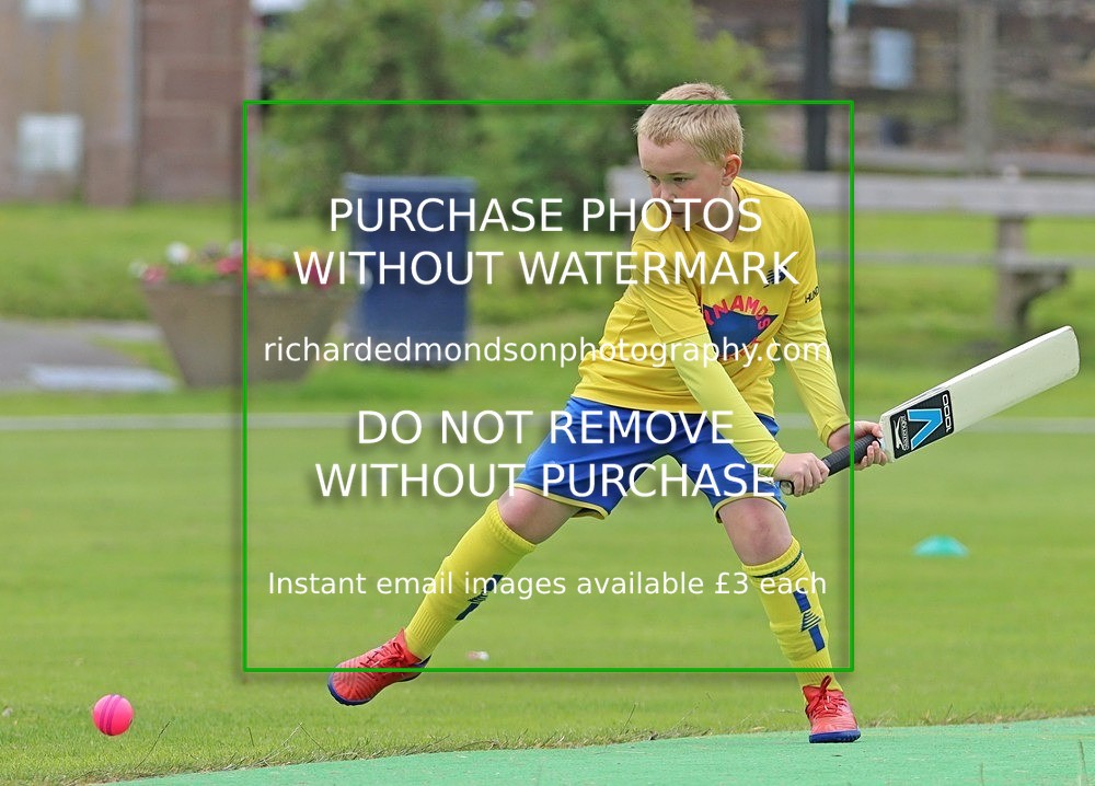 IMG_6042 - Netherfield Under 9's vs Burneside Under 9's (7/7/24)