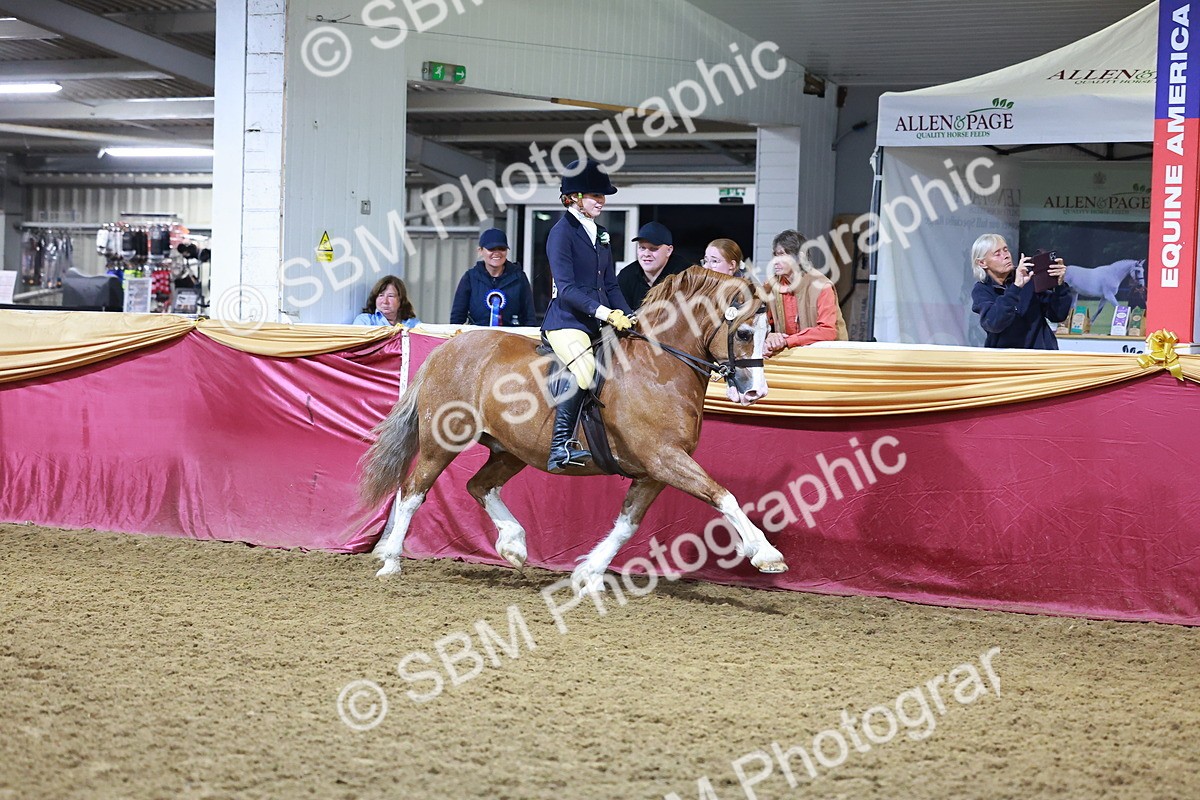 SBM_15248 - Class P - M&M Champ